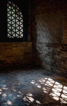 英伟达计划推出全新AI推理芯片 整合Groq技术应对竞争 新闻