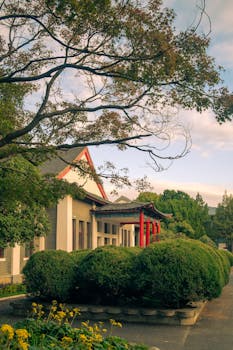 市场观察：关键五年开新局 承前启后谋新篇 新闻