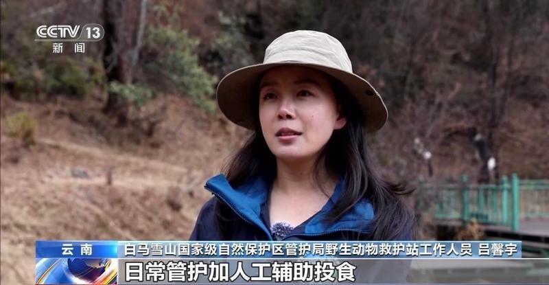  特别“家庭旅行团”亮相 我国野生动植物保护交出亮眼答卷 新闻