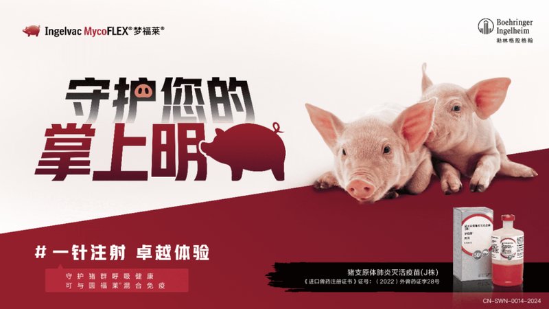 开年猪圈热闹了;巨头们忙啥呢?这些变化藏着啥门道。 企业服务