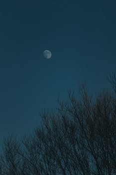 王煜委员两会访谈实录;航空航天升级路径清晰;民航业迎来多重机遇。 IT技术 王煜委员两会访谈实录;航空航天升级路径清晰;民航业迎来多重机遇。 IT技术 王煜委员两会访谈实录;航空航天升级路径清晰;民航业迎来多重机遇。 IT技术 王煜委员两会访谈实录;航空航天升级路径清晰;民航业迎来多重机遇。 IT技术