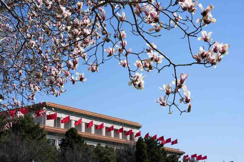  春风拂过代表通道，那些温暖的声音在回响；你听到了吗？ 新闻 春风拂过代表通道，那些温暖的声音在回响；你听到了吗？ 新闻 春风拂过代表通道，那些温暖的声音在回响；你听到了吗？ 新闻 春风拂过代表通道，那些温暖的声音在回响；你听到了吗？ 新闻 春风拂过代表通道，那些温暖的声音在回响；你听到了吗？ 新闻 春风拂过代表通道，那些温暖的声音在回响；你听到了吗？ 新闻 春风拂过代表通道，那些温暖的声音在回响；你听到了吗？ 新闻