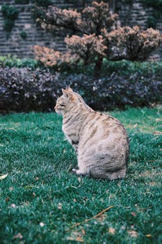 平安银行逐步退出代理个人贵金属交易业务;多家机构同步收紧渠道。 股票财经 平安银行逐步退出代理个人贵金属交易业务;多家机构同步收紧渠道。 股票财经 平安银行逐步退出代理个人贵金属交易业务;多家机构同步收紧渠道。 股票财经