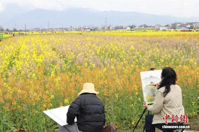 乡村花海蝶变新动能;汉中农文旅融合路径探析。 文化旅游