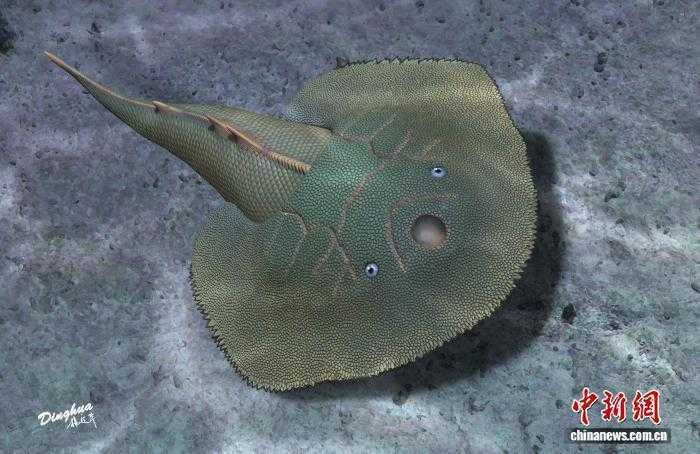  亿万年尘封秘密揭开；短耳鸮甲鱼如何改写多鳃鱼目演化史。 文化旅游