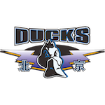 面对赛场失利与人员短缺:管理者如何通过心态调整与战术优化破局 IT技术