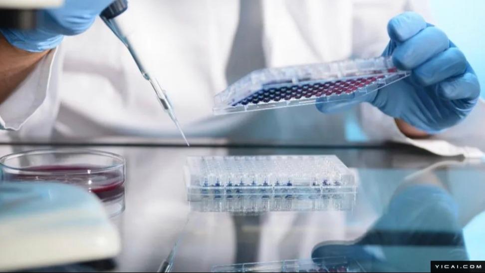  千亿资本涌入中国医药市场：跨国巨头们的布局逻辑大揭秘 股票财经