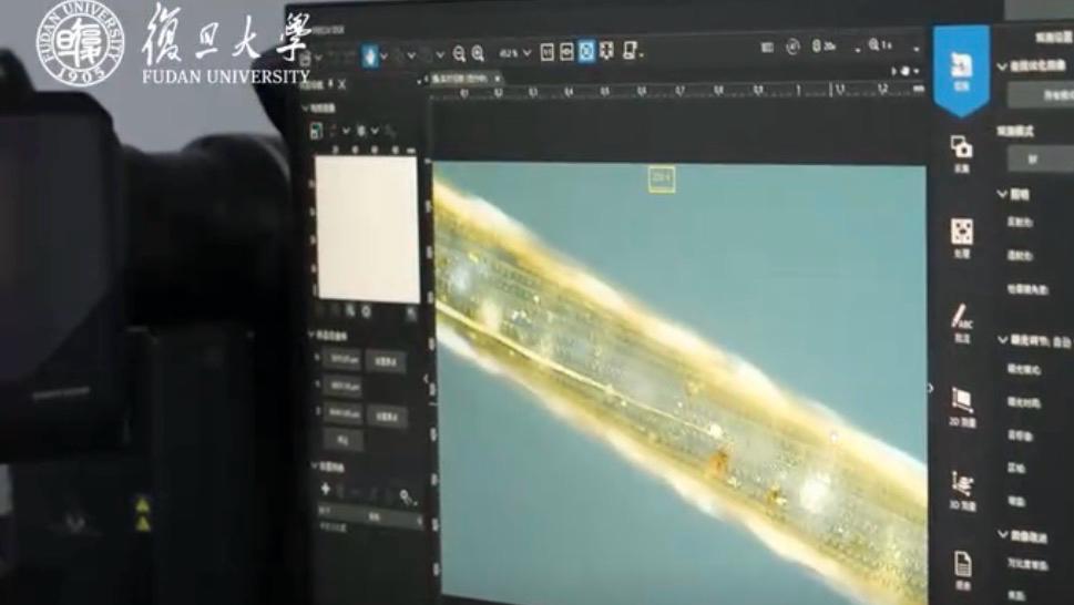  电子基材的隐形革命：为何全球最大生产线投产引发震动？ IT技术 电子基材的隐形革命：为何全球最大生产线投产引发震动？ IT技术