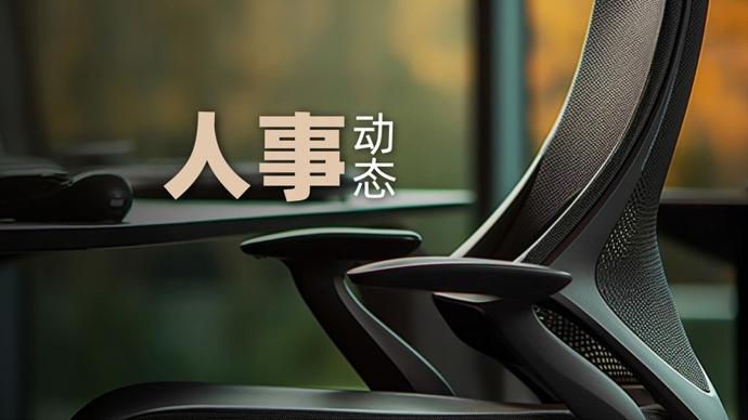 【深度】省级政府人事变局：干部选拔逻辑与跨区域调任机制的系统性解码