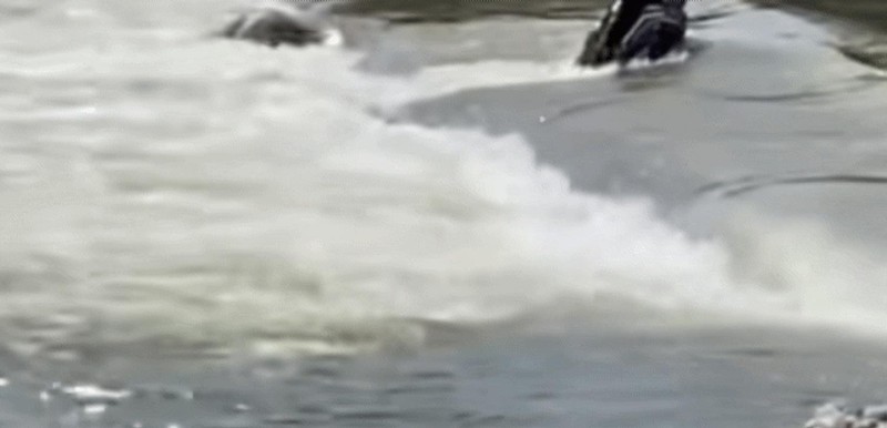 【水文安全】深度解析:半米积水如何成为致命陷阱——湘江溺水事故的技术复盘与风险防控 新闻 【水文安全】深度解析:半米积水如何成为致命陷阱——湘江溺水事故的技术复盘与风险防控 新闻 【水文安全】深度解析:半米积水如何成为致命陷阱——湘江溺水事故的技术复盘与风险防控 新闻 【水文安全】深度解析:半米积水如何成为致命陷阱——湘江溺水事故的技术复盘与风险防控 新闻 【水文安全】深度解析:半米积水如何成为致命陷阱——湘江溺水事故的技术复盘与风险防控 新闻