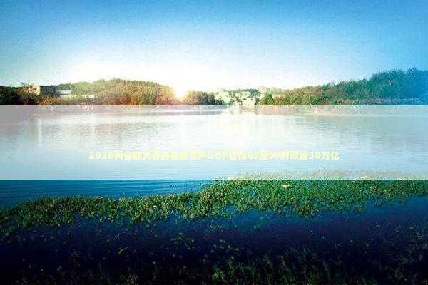 2026两会四大券商首席发声GDP目标45至50财政超30万亿 新闻