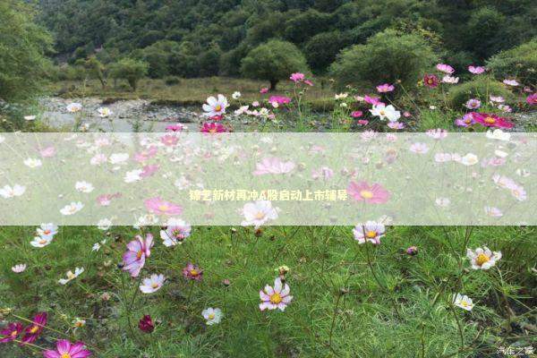 锦艺新材再冲A股启动上市辅导 新闻