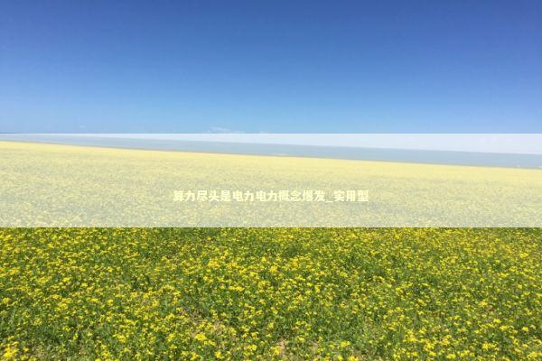 算力尽头是电力电力概念爆发_实用型 算力尽头是电力电力概念爆发_实用型 新闻