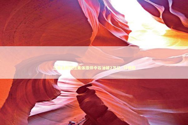 三桶油历史性集体涨停中石油破2万亿_抒情型 新闻