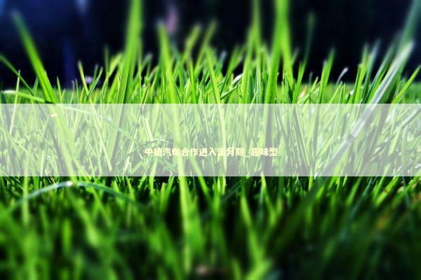 中德汽车合作进入蜜月期_趣味型 新闻