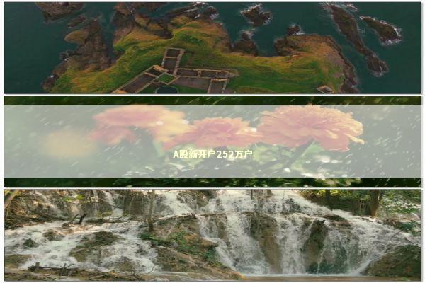 A股新开户252万户 新闻