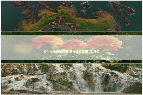 霍尔木兹海峡停航 国际油价飙涨_实用型 新闻