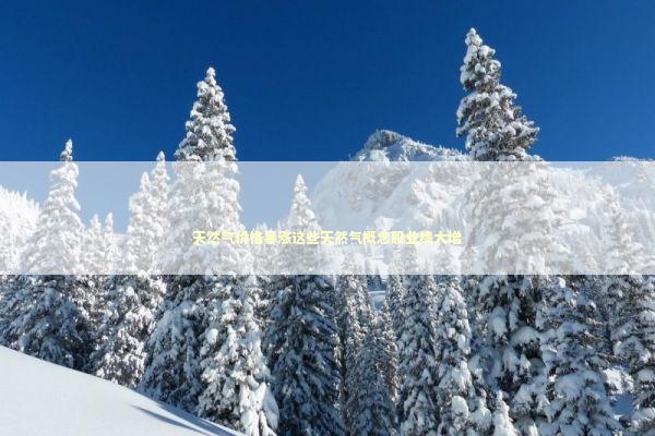 天然气价格暴涨这些天然气概念股业绩大增 新闻