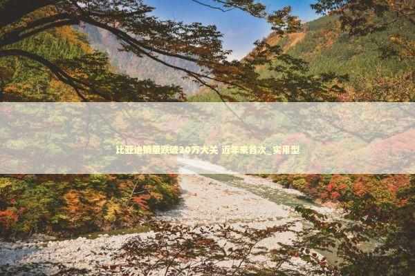 比亚迪销量跌破20万大关 近年来首次_实用型 新闻