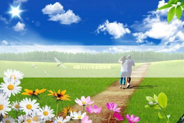 A股2025年业绩快报 新闻