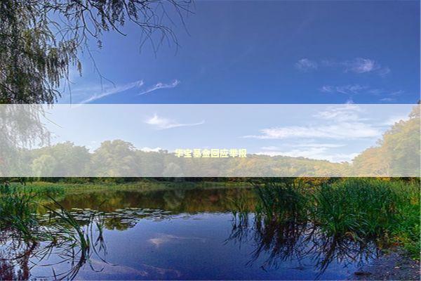 华宝基金回应举报 新闻