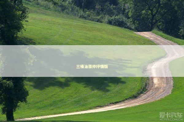 三桶油涨停抒情版 三桶油涨停抒情版 新闻