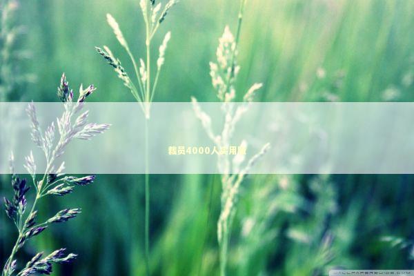 裁员4000人实用版 新闻