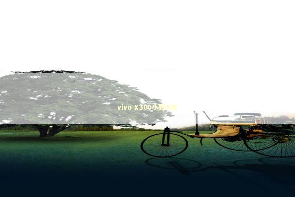 vivo X300小题大做 vivo X300小题大做 新闻