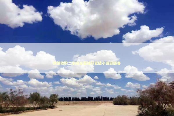 政策收购二手房全面铺开老破小或迎暖春 新闻