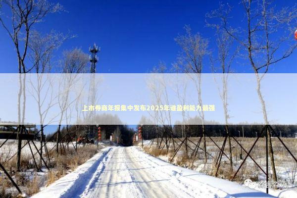 上市券商年报集中发布2025年谁盈利能力最强 上市券商年报集中发布2025年谁盈利能力最强 新闻