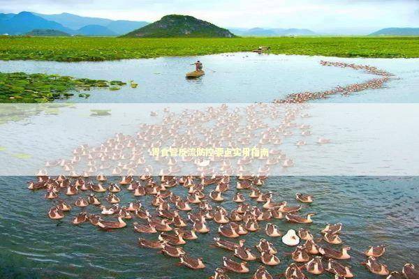 胃食管反流防控要点实用指南 新闻