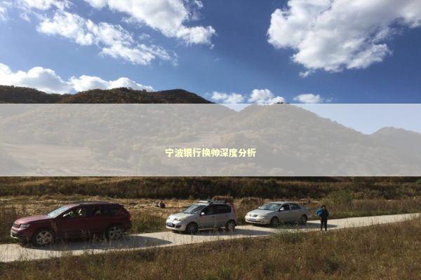 宁波银行换帅深度分析 新闻