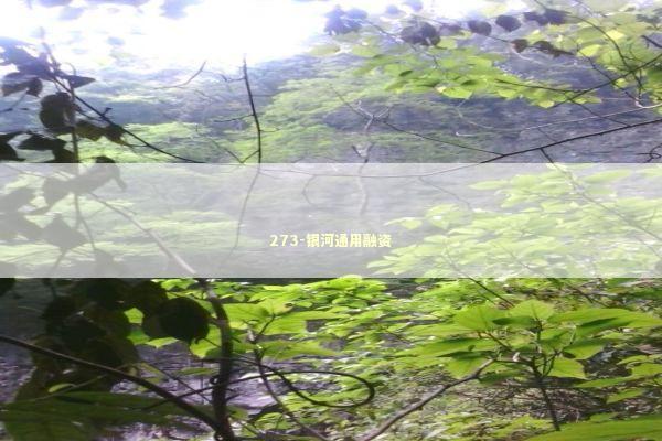 273-银河通用融资 新闻