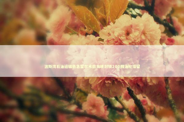 波斯湾石油运输告急霍尔木兹海峡封锁200艘油轮滞留 新闻