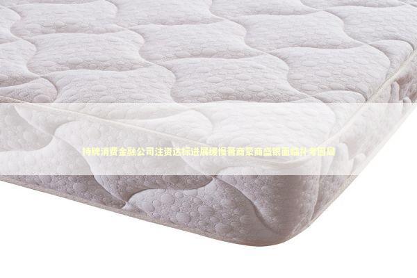 持牌消费金融公司注资达标进展缓慢晋商蒙商盛银面临补考困局 持牌消费金融公司注资达标进展缓慢晋商蒙商盛银面临补考困局 新闻