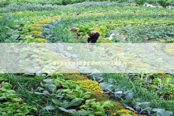 春节安全警钟 1岁宝宝误呛乳牙50天肺炎 新闻