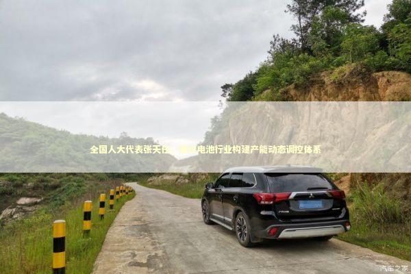 全国人大代表张天任:建议电池行业构建产能动态调控体系 全国人大代表张天任:建议电池行业构建产能动态调控体系 新闻