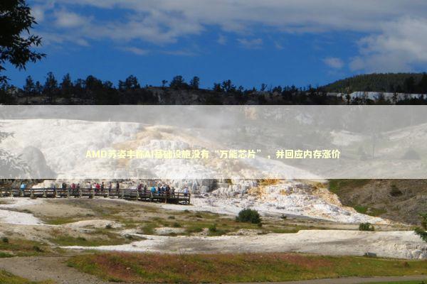 AMD苏姿丰称AI基础设施没有“万能芯片”，并回应内存涨价 新闻