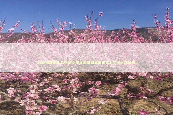 维尼修斯伯纳乌逆袭之路从嘘声到掌声用实力完成自我救赎 新闻