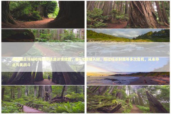 伊朗最高领袖哈梅内伊遇袭详情披露，曾6次被捕入狱，挺过暗杀制裁等多次危机，从未停止与美战斗 新闻