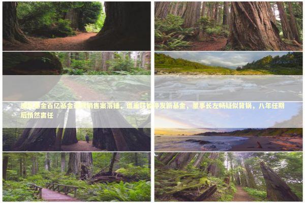 德邦基金百亿基金违规销售案落锤,遭重罚暂停发新基金,董事长左畅疑似背锅,八年任期后悄然离任 德邦基金百亿基金违规销售案落锤,遭重罚暂停发新基金,董事长左畅疑似背锅,八年任期后悄然离任 新闻