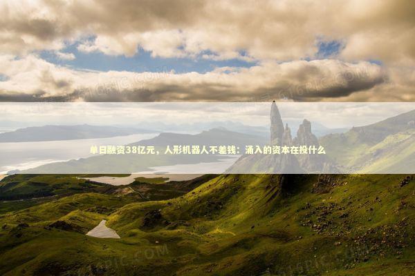 单日融资38亿元，人形机器人不差钱：涌入的资本在投什么 新闻