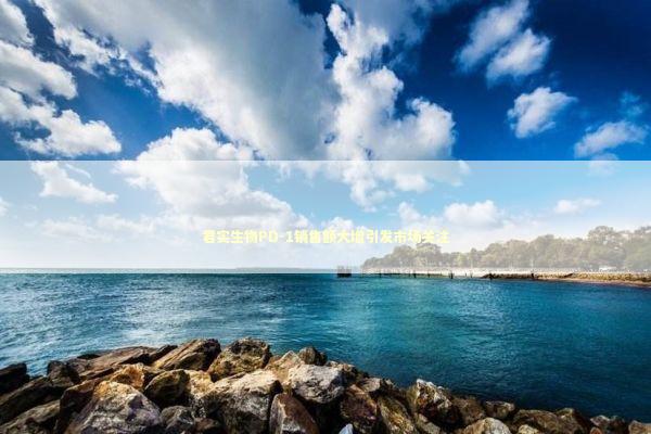 君实生物PD-1销售额大增引发市场关注 君实生物PD-1销售额大增引发市场关注 新闻