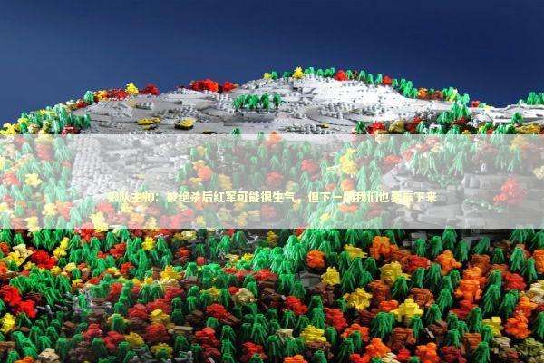 狼队主帅:被绝杀后红军可能很生气,但下一场我们也要赢下来 狼队主帅:被绝杀后红军可能很生气,但下一场我们也要赢下来 新闻