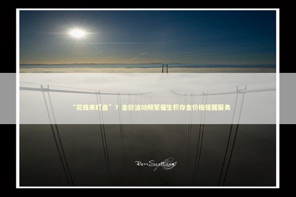 “花钱来盯盘”？金价波动频繁催生积存金价格提醒服务 新闻