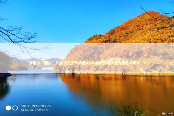 卡塔尔“断供”！欧洲天然气飙涨40%最新高增长潜力股名单出炉_3 新闻