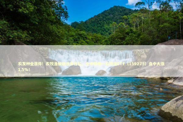 农发种业涨停！农牧渔板块逆市狂拉，全市场唯一农牧渔ETF（159275）盘中大涨1.5%！ 新闻