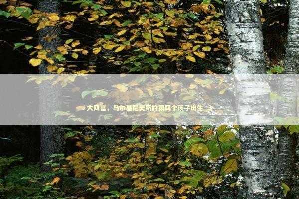 大四喜，马尔基尼奥斯的第四个孩子出生_3 新闻