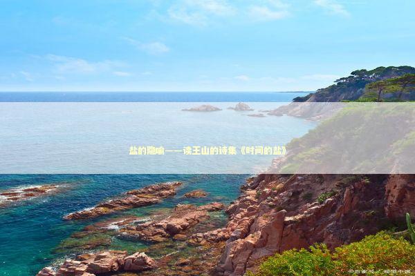 盐的隐喻——读王山的诗集《时间的盐》 新闻