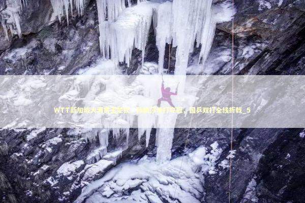 WTT新加坡大满贯王楚钦、孙颖莎单打夺冠,国乒双打全线折戟_5 WTT新加坡大满贯王楚钦、孙颖莎单打夺冠,国乒双打全线折戟_5 新闻